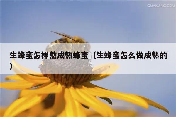 生蜂蜜怎样熬成熟蜂蜜（生蜂蜜怎么做成熟的）