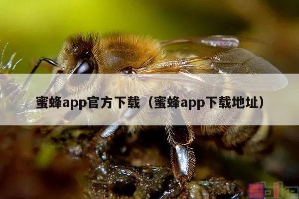 蜜蜂app官方下载（蜜蜂app下载地址）