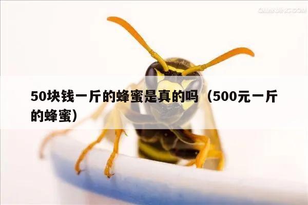 50块钱一斤的蜂蜜是真的吗（500元一斤的蜂蜜）