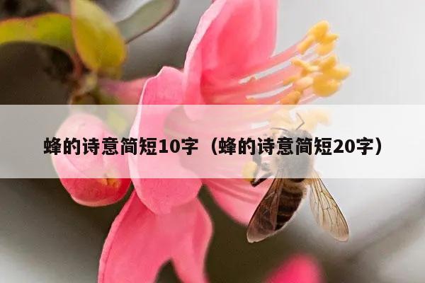 蜂的诗意简短10字（蜂的诗意简短20字）