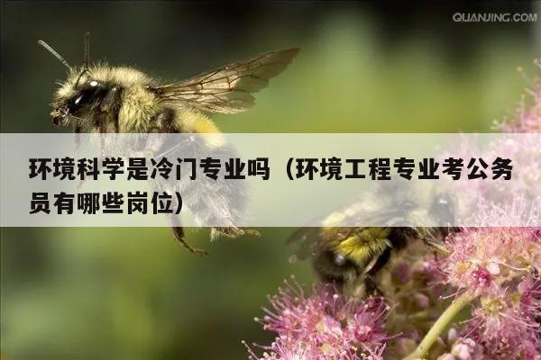 环境科学是冷门专业吗（环境工程专业考公务员有哪些岗位）