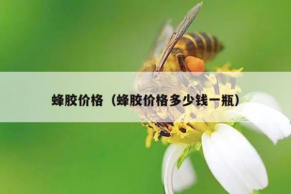 蜂胶价格（蜂胶价格多少钱一瓶）