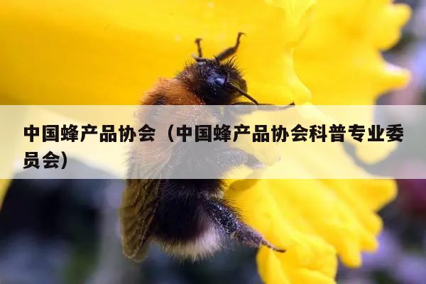 中国蜂产品协会（中国蜂产品协会科普专业委员会）