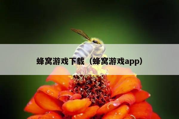 蜂窝游戏下载（蜂窝游戏app）