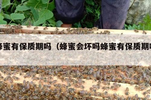 蜂蜜有保质期吗（蜂蜜会坏吗蜂蜜有保质期吗）