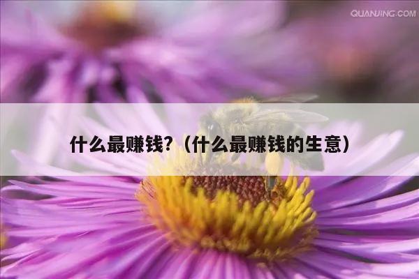 什么最赚钱?（什么最赚钱的生意）