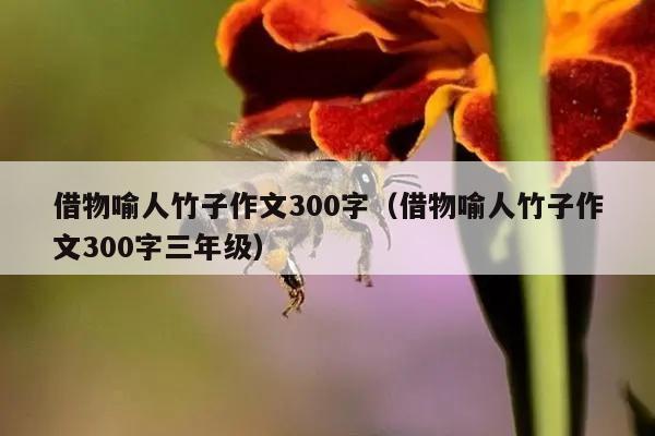 借物喻人竹子作文300字（借物喻人竹子作文300字三年级）