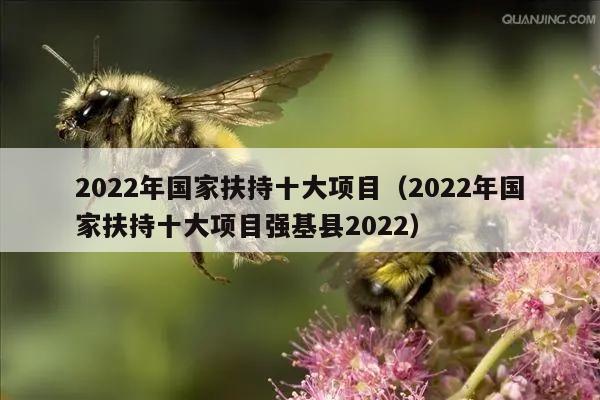 2022年国家扶持十大项目（2022年国家扶持十大项目强基县2022）