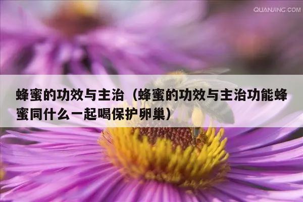 蜂蜜的功效与主治（蜂蜜的功效与主治功能蜂蜜同什么一起喝保护卵巢）