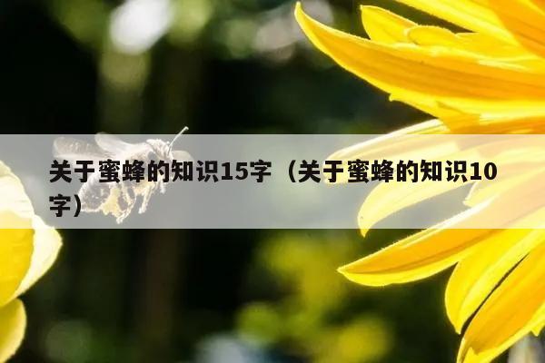 关于蜜蜂的知识15字（关于蜜蜂的知识10字）