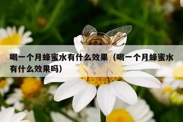 喝一个月蜂蜜水有什么效果（喝一个月蜂蜜水有什么效果吗）