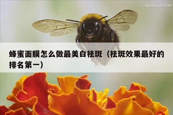 蜂蜜面膜怎么做最美白祛斑（祛斑效果最好的排名第一）