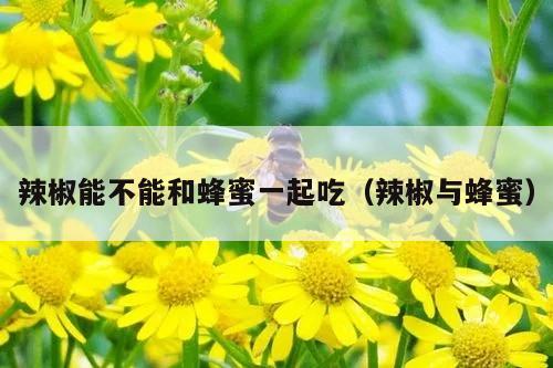 辣椒能不能和蜂蜜一起吃（辣椒与蜂蜜）