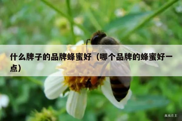 什么牌子的品牌蜂蜜好（哪个品牌的蜂蜜好一点）