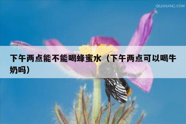 下午两点能不能喝蜂蜜水（下午两点可以喝牛奶吗）