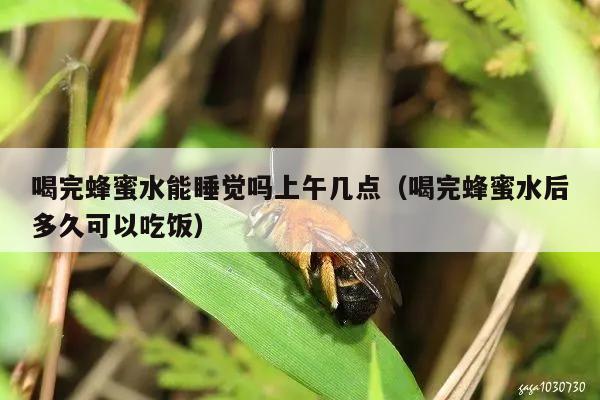 喝完蜂蜜水能睡觉吗上午几点（喝完蜂蜜水后多久可以吃饭）