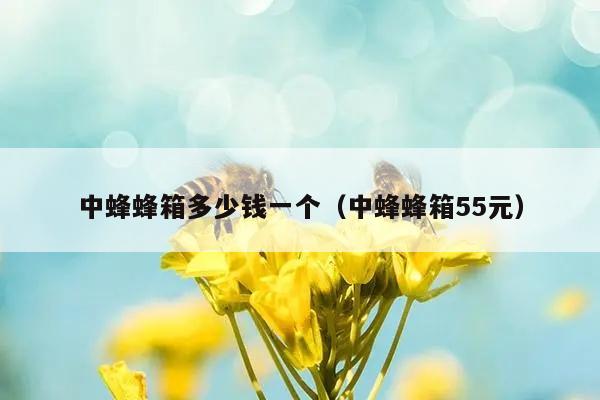 中蜂蜂箱多少钱一个（中蜂蜂箱55元）