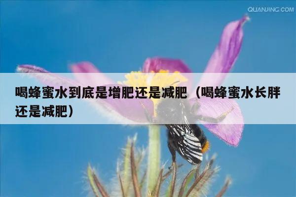 喝蜂蜜水到底是增肥还是减肥（喝蜂蜜水长胖还是减肥）