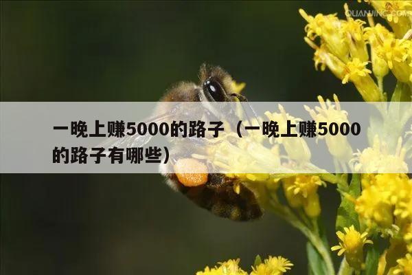 一晚上赚5000的路子（一晚上赚5000的路子有哪些）