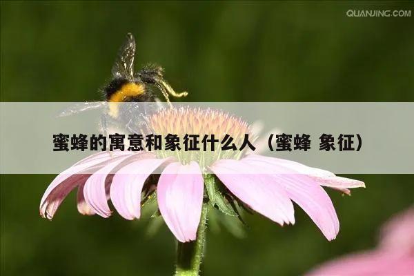 蜜蜂的寓意和象征什么人（蜜蜂 象征）