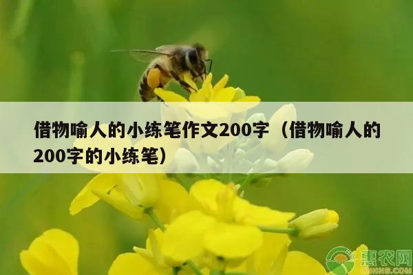 借物喻人的小练笔作文200字（借物喻人的200字的小练笔）