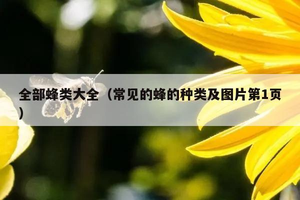 全部蜂类大全（常见的蜂的种类及图片第1页）