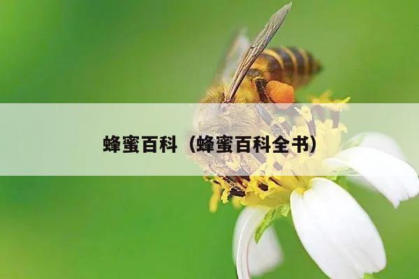 蜂蜜百科（蜂蜜百科全书）