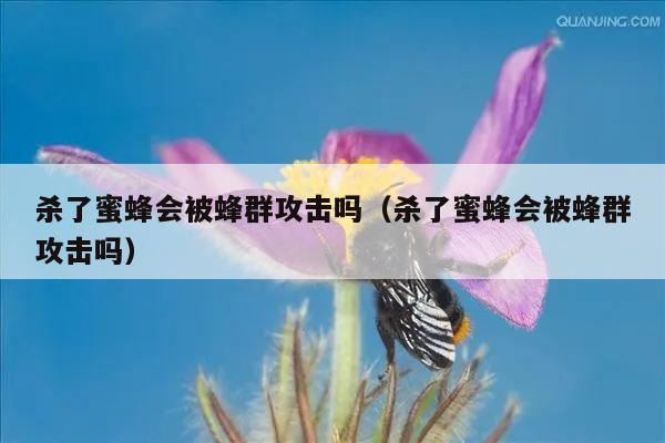 杀了蜜蜂会被蜂群攻击吗（杀了蜜蜂会被蜂群攻击吗）