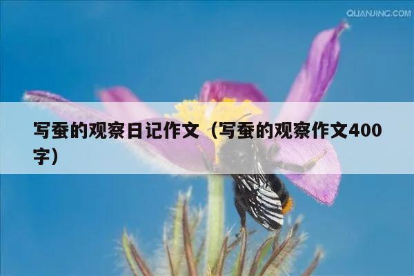 写蚕的观察日记作文（写蚕的观察作文400字）