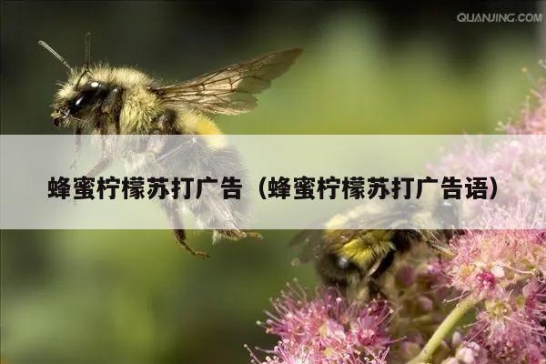 蜂蜜柠檬苏打广告（蜂蜜柠檬苏打广告语）