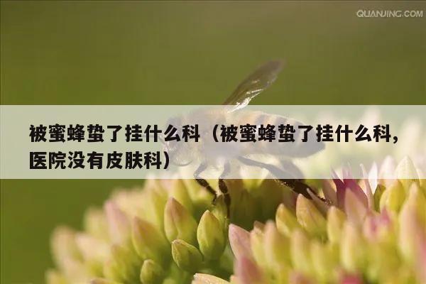 被蜜蜂蛰了挂什么科（被蜜蜂蛰了挂什么科,医院没有皮肤科）