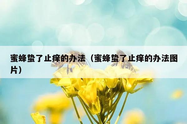 蜜蜂蛰了止痒的办法（蜜蜂蛰了止痒的办法图片）