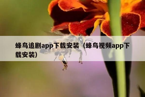 蜂鸟追剧app下载安装（蜂鸟视频app下载安装）