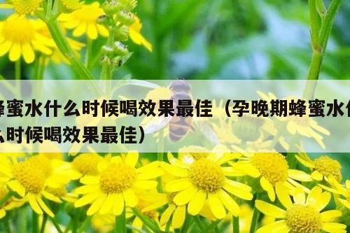 蜂蜜水什么时候喝效果最佳（孕晚期蜂蜜水什么时候喝效果最佳）