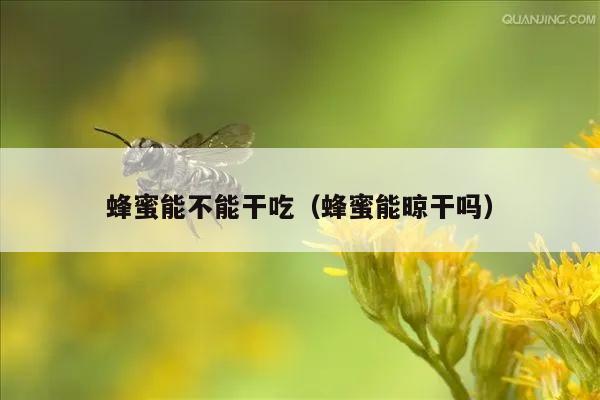 蜂蜜能不能干吃（蜂蜜能晾干吗）