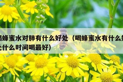 喝蜂蜜水对肺有什么好处（喝蜂蜜水有什么好处什么时间喝最好）