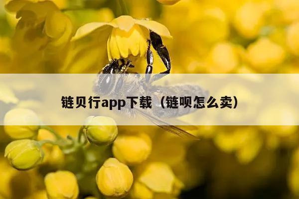 链贝行app下载（链呗怎么卖）