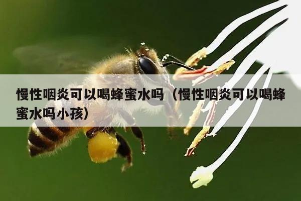 慢性咽炎可以喝蜂蜜水吗（慢性咽炎可以喝蜂蜜水吗小孩）