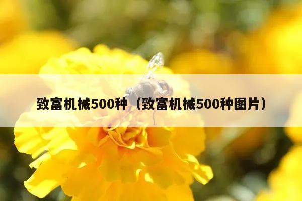 致富机械500种（致富机械500种图片）