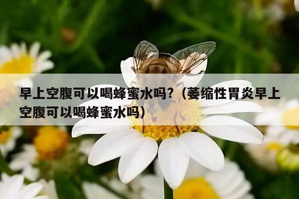 早上空腹可以喝蜂蜜水吗?（萎缩性胃炎早上空腹可以喝蜂蜜水吗）