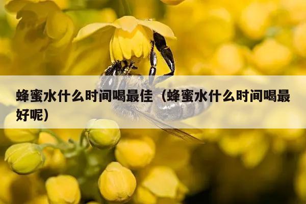 蜂蜜水什么时间喝最佳（蜂蜜水什么时间喝最好呢）