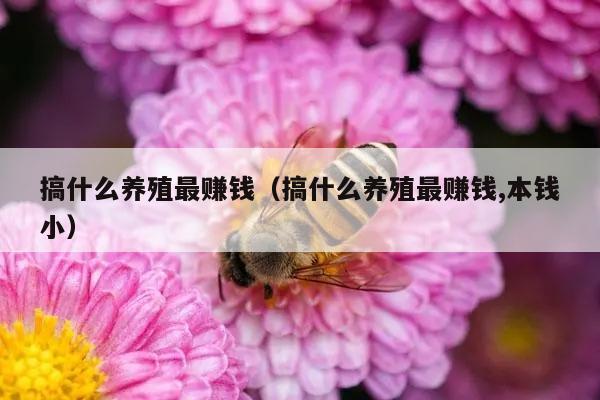 搞什么养殖最赚钱（搞什么养殖最赚钱,本钱小）