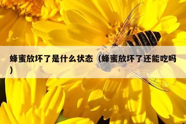 蜂蜜放坏了是什么状态（蜂蜜放坏了还能吃吗）