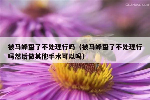 被马蜂蛰了不处理行吗（被马蜂蛰了不处理行吗然后做其他手术可以吗）