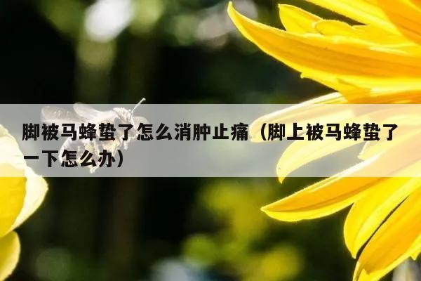 脚被马蜂蛰了怎么消肿止痛（脚上被马蜂蛰了一下怎么办）