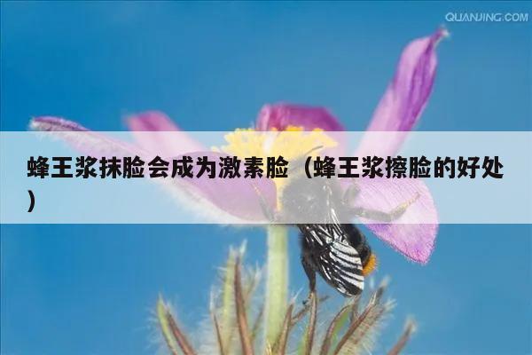 蜂王浆抹脸会成为激素脸（蜂王浆擦脸的好处）