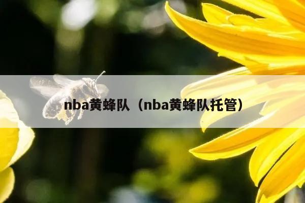 nba黄蜂队（nba黄蜂队托管）