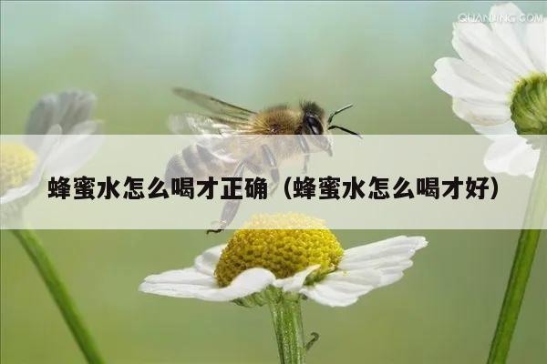 蜂蜜水怎么喝才正确（蜂蜜水怎么喝才好）