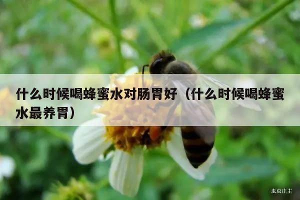 什么时候喝蜂蜜水对肠胃好（什么时候喝蜂蜜水最养胃）