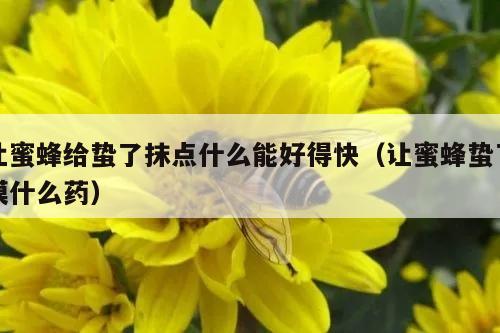 让蜜蜂给蛰了抹点什么能好得快（让蜜蜂蛰了摸什么药）